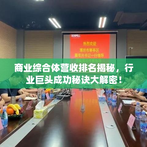 商業(yè)綜合體營收排名揭秘，行業(yè)巨頭成功秘訣大解密！