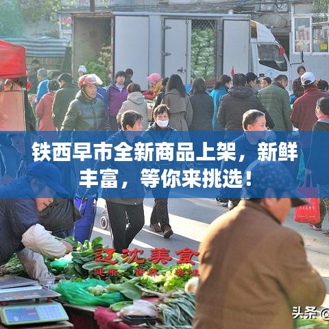 鐵西早市全新商品上架，新鮮豐富，等你來挑選！