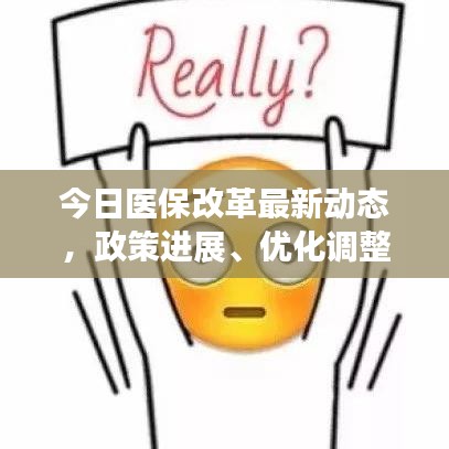 今日醫(yī)保改革最新動(dòng)態(tài)，政策進(jìn)展、優(yōu)化調(diào)整及未來展望