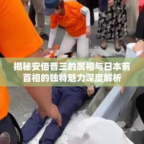 揭秘安倍晉三的屬相與日本前首相的獨特魅力深度解析