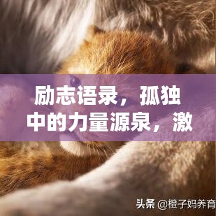 勵(lì)志語錄，孤獨(dú)中的力量源泉，激發(fā)無盡潛能