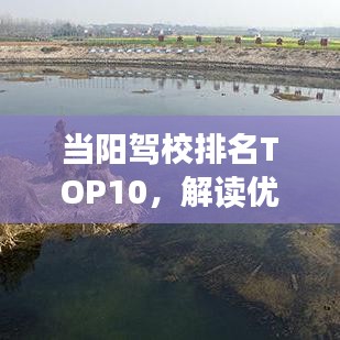 當陽駕校排名TOP10，解讀優(yōu)質(zhì)駕駛教育的明智之選