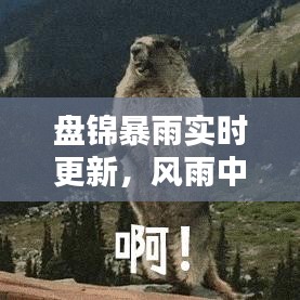 盤(pán)錦暴雨實(shí)時(shí)更新，風(fēng)雨中的城市與民眾的應(yīng)對(duì)策略