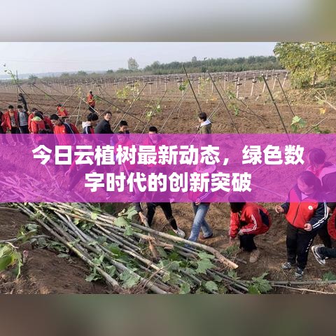 今日云植樹最新動態(tài)，綠色數(shù)字時代的創(chuàng)新突破