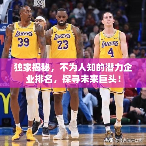 獨(dú)家揭秘，不為人知的潛力企業(yè)排名，探尋未來(lái)巨頭！