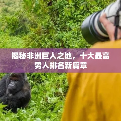 揭秘非洲巨人之地，十大最高男人排名新篇章