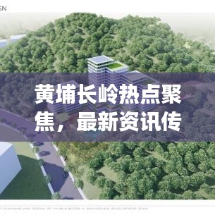 黃埔長嶺熱點聚焦，最新資訊傳遞，時事新聞頭條