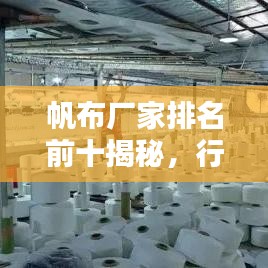 帆布廠家排名前十揭秘，行業(yè)翹楚一網(wǎng)打盡