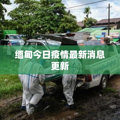 緬甸今日疫情最新消息更新