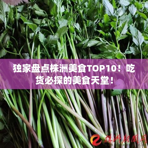 獨(dú)家盤點(diǎn)株洲美食TOP10！吃貨必探的美食天堂！