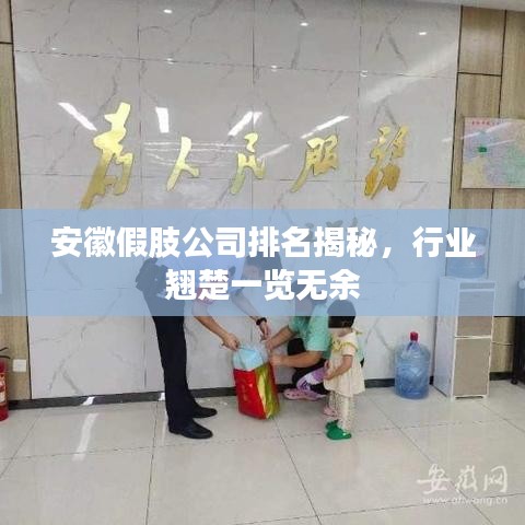 安徽假肢公司排名揭秘，行業(yè)翹楚一覽無余