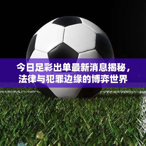 今日足彩出單最新消息揭秘，法律與犯罪邊緣的博弈世界