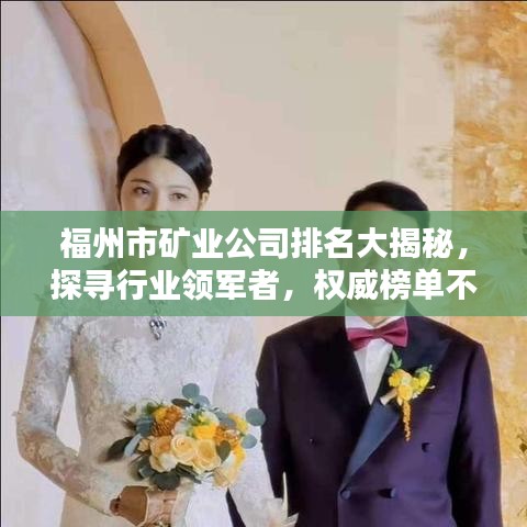 福州市礦業(yè)公司排名大揭秘，探尋行業(yè)領(lǐng)軍者，權(quán)威榜單不容錯過！