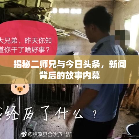 揭秘二師兄與今日頭條，新聞背后的故事內(nèi)幕