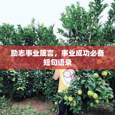 勵志事業(yè)箴言，事業(yè)成功必備短句語錄