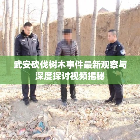 武安砍伐樹木事件最新觀察與深度探討視頻揭秘