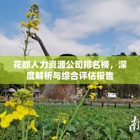 花都人力資源公司排名榜，深度解析與綜合評估報(bào)告