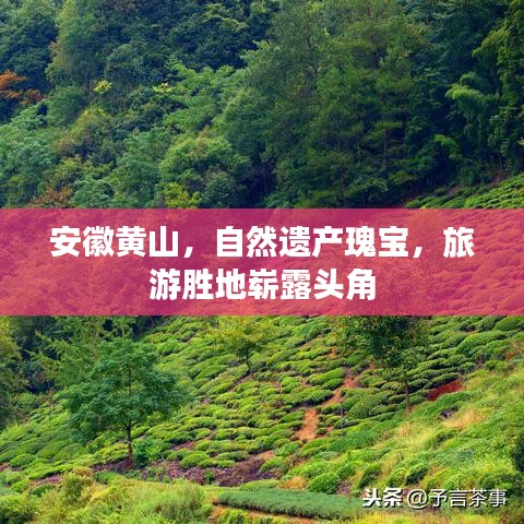 安徽黃山，自然遺產(chǎn)瑰寶，旅游勝地嶄露頭角