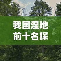 我國(guó)濕地前十名探秘，自然之美的寶藏大揭秘