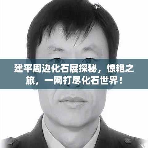 建平周邊化石展探秘，驚艷之旅，一網(wǎng)打盡化石世界！