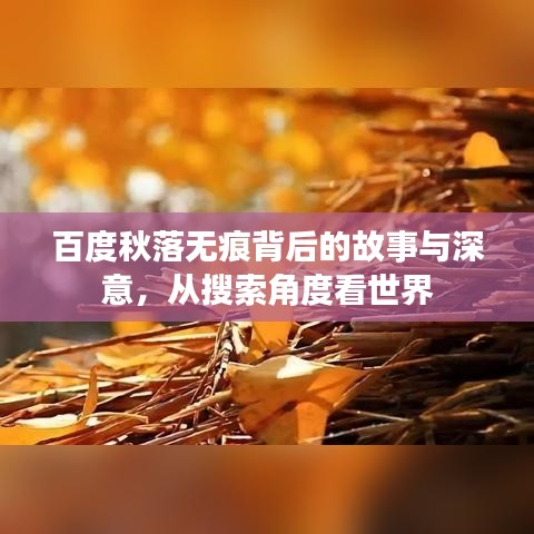 百度秋落無痕背后的故事與深意，從搜索角度看世界