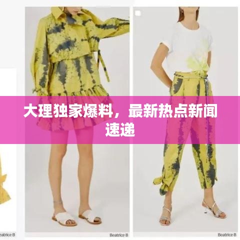 大理獨家爆料，最新熱點新聞速遞