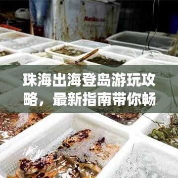 珠海出海登島游玩攻略，最新指南帶你暢游海島