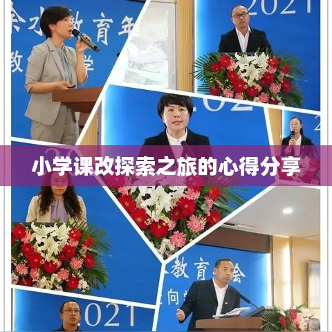 小學課改探索之旅的心得分享