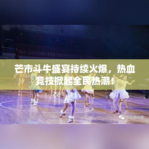 芒市斗牛盛宴持續(xù)火爆，熱血競(jìng)技掀起全民熱潮！