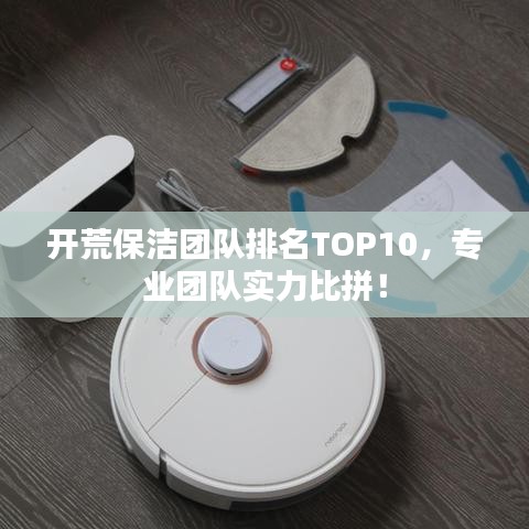 開(kāi)荒保潔團(tuán)隊(duì)排名TOP10，專業(yè)團(tuán)隊(duì)實(shí)力比拼！