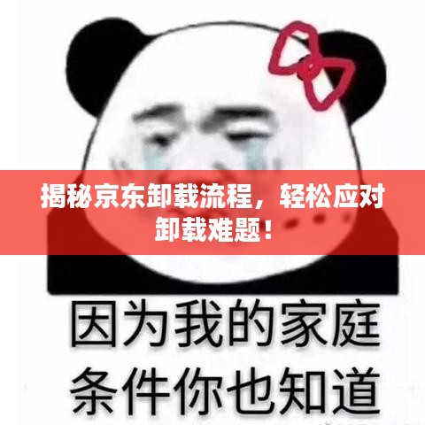 揭秘京東卸載流程，輕松應(yīng)對卸載難題！