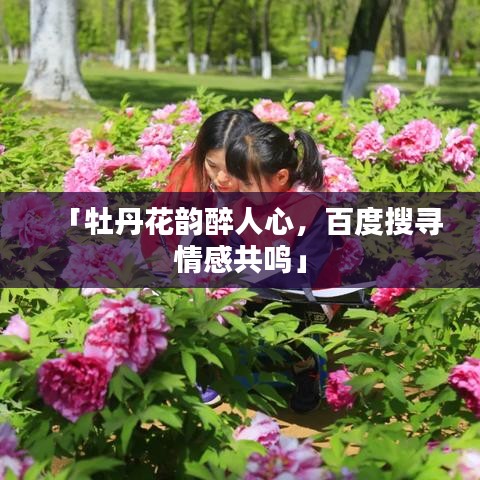 「牡丹花韻醉人心，百度搜尋情感共鳴」