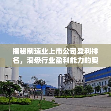揭秘制造業(yè)上市公司盈利排名，洞悉行業(yè)盈利能力的奧秘！