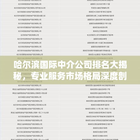 哈爾濱國際中介公司排名大揭秘，專業(yè)服務(wù)市場格局深度剖析！