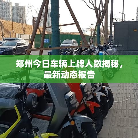 鄭州今日車輛上牌人數(shù)揭秘，最新動(dòng)態(tài)報(bào)告
