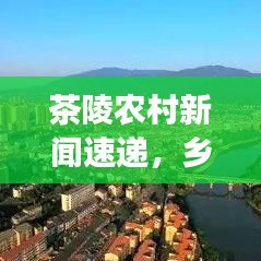 茶陵農(nóng)村新聞速遞，鄉(xiāng)村新貌與發(fā)展動力揭秘