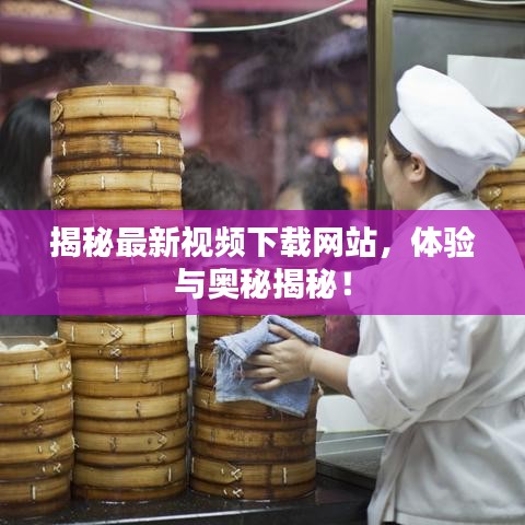 揭秘最新視頻下載網(wǎng)站，體驗與奧秘揭秘！