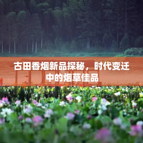 古田香煙新品探秘，時(shí)代變遷中的煙草佳品