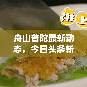 舟山普陀最新動(dòng)態(tài)，今日頭條新聞速遞