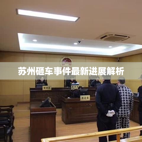 蘇州砸車事件最新進展解析