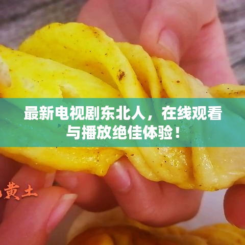 最新電視劇東北人，在線觀看與播放絕佳體驗！