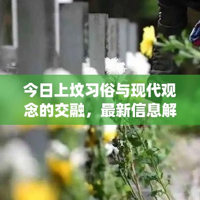 今日上墳習(xí)俗與現(xiàn)代觀念的交融，最新信息解讀