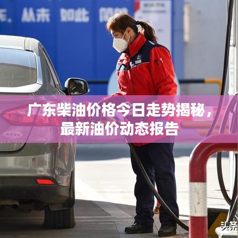 廣東柴油價(jià)格今日走勢(shì)揭秘，最新油價(jià)動(dòng)態(tài)報(bào)告