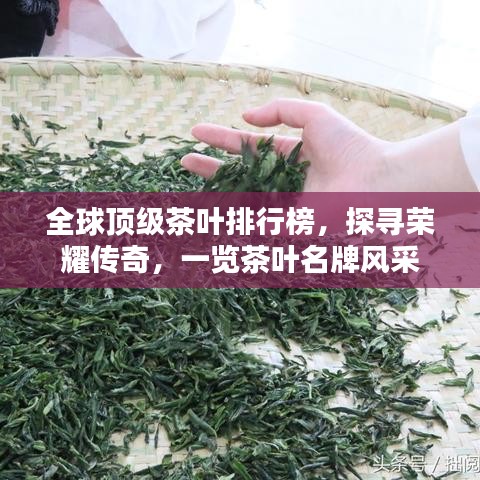 全球頂級(jí)茶葉排行榜，探尋榮耀傳奇，一覽茶葉名牌風(fēng)采