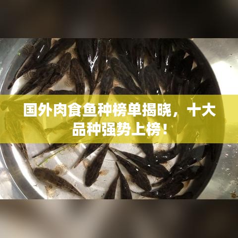 國外肉食魚種榜單揭曉，十大品種強(qiáng)勢上榜！