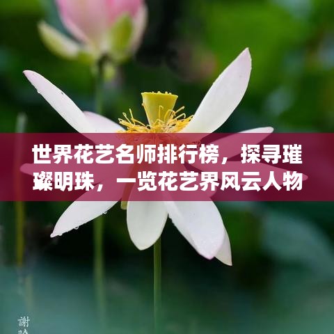 世界花藝名師排行榜，探尋璀璨明珠，一覽花藝界風云人物