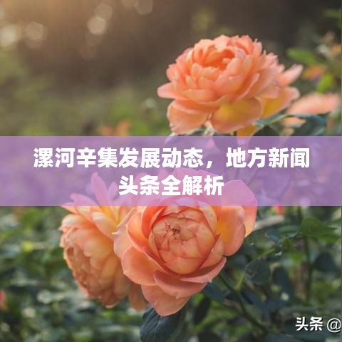 漯河辛集發(fā)展動(dòng)態(tài)，地方新聞?lì)^條全解析