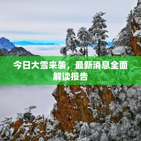 今日大雪來襲，最新消息全面解讀報(bào)告