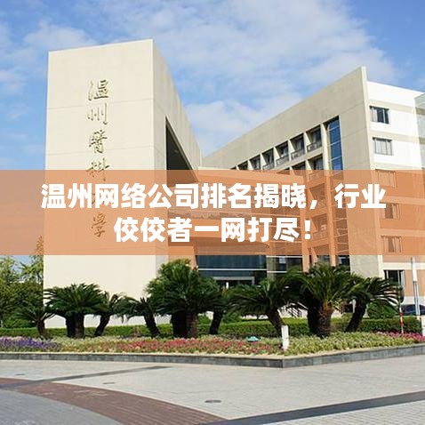 溫州網(wǎng)絡公司排名揭曉，行業(yè)佼佼者一網(wǎng)打盡！