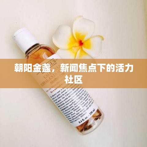 朝陽金盞，新聞焦點下的活力社區(qū)